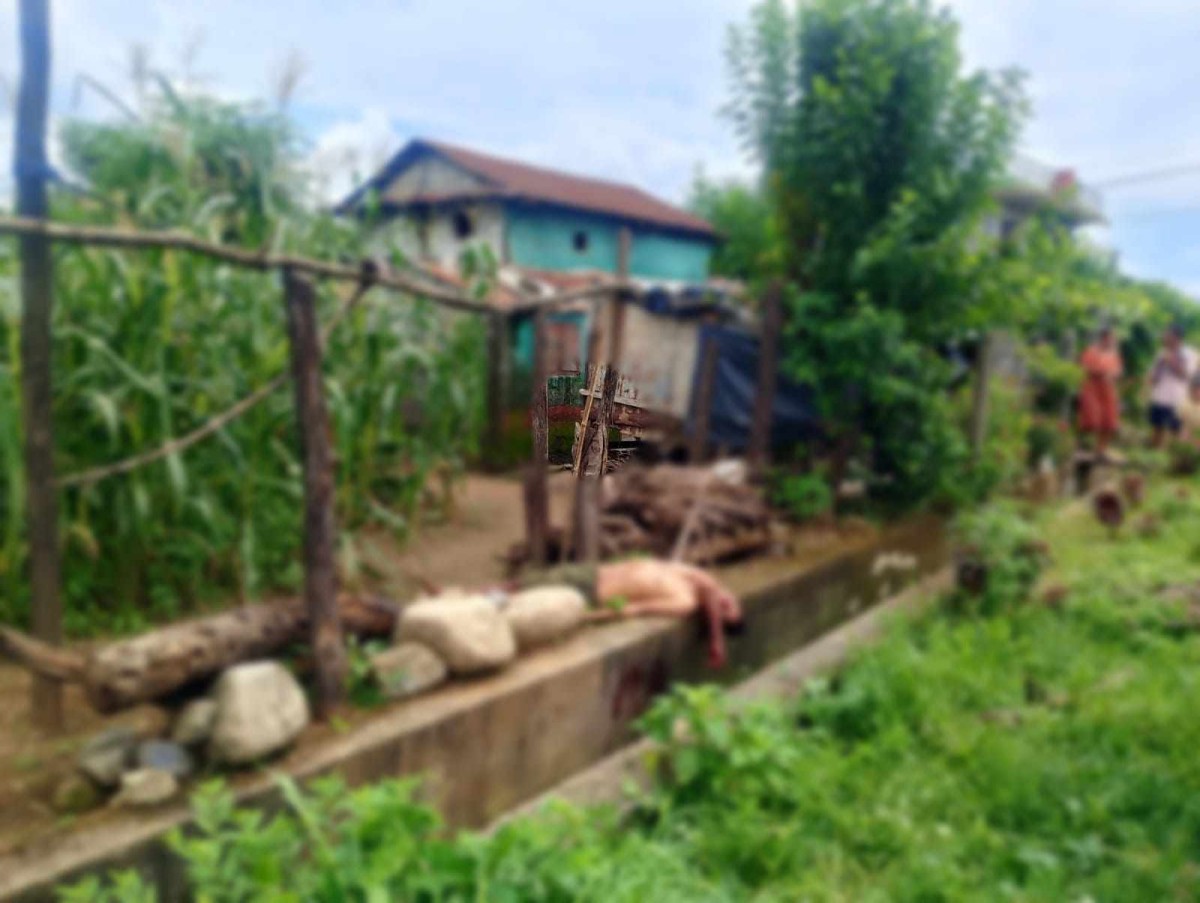 कुकुर पिटेको निहुँमा ढुंगा प्रहारबाट बाबुको हत्या